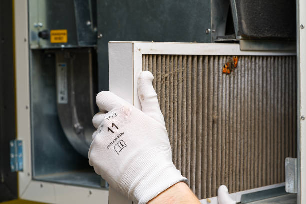 Best Air Quality Test  in North Webster, IN