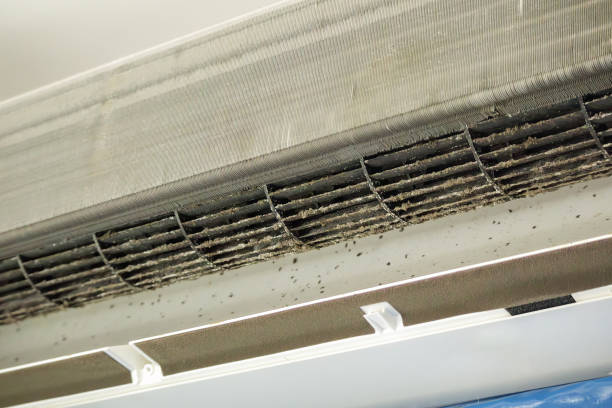 Best HVAC Air Duct Cleaning  in North Webster, IN